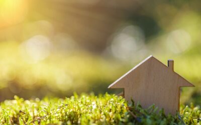 Comment la science peut transformer votre déco intérieure : conseils improbables de chercheurs