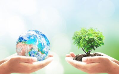 Le chaotique mariage de l’économie et de l’écologie: Un nouveau modèle à inventer ?