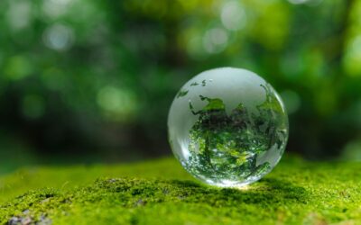 Quand la bourse devient verte : l’incroyable boom des actions éco-responsables