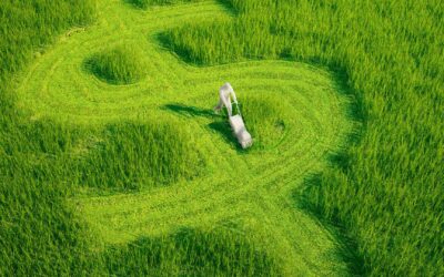 L’économie circulaire : une utopie réaliste ?