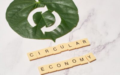 Ces entreprises qui transforment vos déchets en or