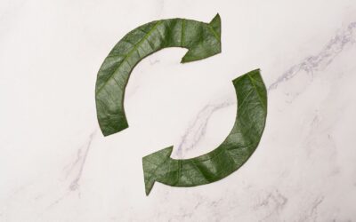 La fin du plastique est-elle vraiment pour demain ? Le vrai visage de la guerre contre les plastiques