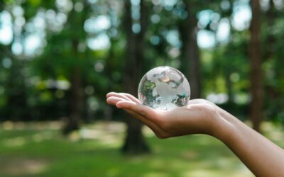 L’illusion des voitures électriques : Un cauchemar écologique déguisé ?