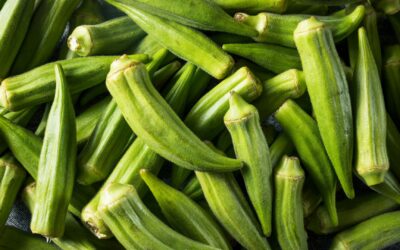 Les « Greenfluencers » ont-ils vraiment un impact sur l’écologie ?