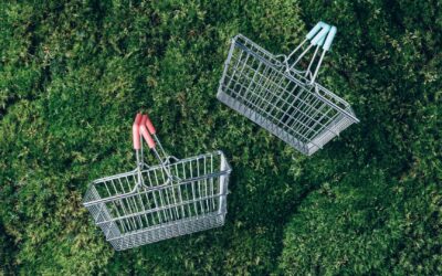 Shopping écolo : Comment les marques utilisent le Greenwashing pour booster leurs ventes