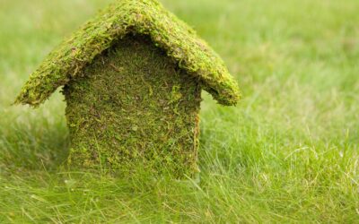 Pourquoi le compost humain pourrait sauver la planète