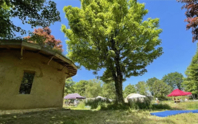 Habitat durable : isoler, rénover et adopter des énergies renouvelables