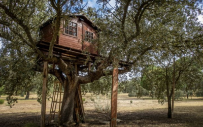 Habitat durable : 30 % d’économies grâce à isolation et énergies renouvelables