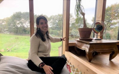 Habitat durable : 60 % des propriétaires optent pour l’écologie